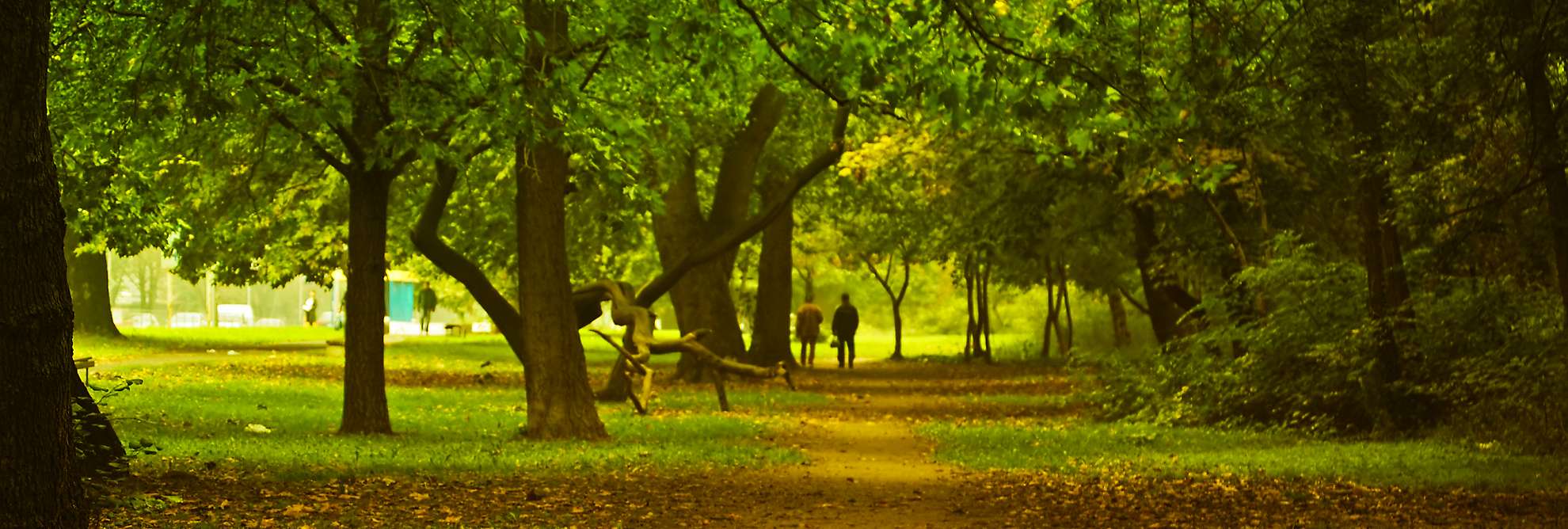 addiction treatment services
